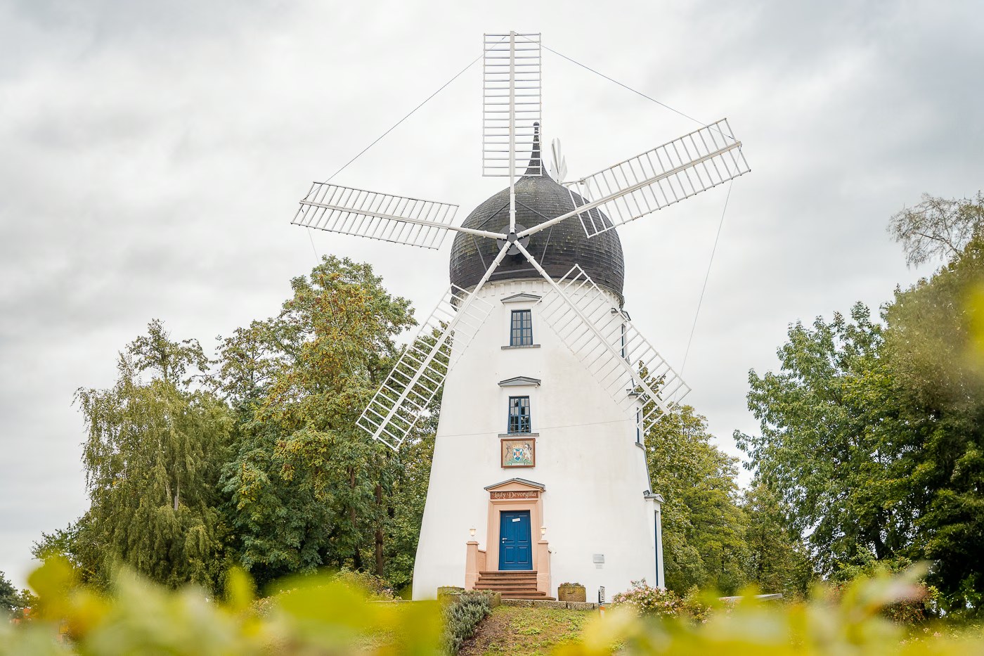 Hochzeitslocation Hochzeitsmühle Gifhorn – weiße Windmühle Lady Devorgilla zwischen Bäumen, Hochzeitslocations Region Gifhorn